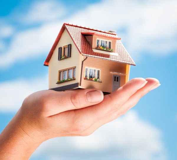 House in human hands