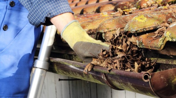 gutter cleaning